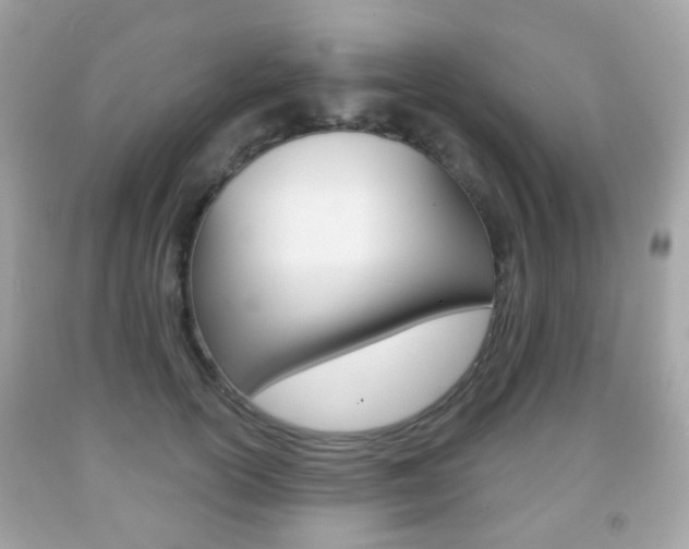 X0000091850754200709050935