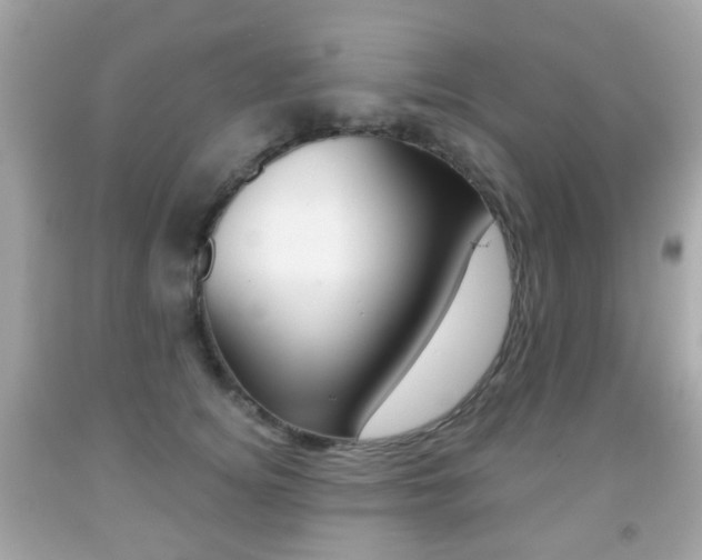 X0000091850756200709050935