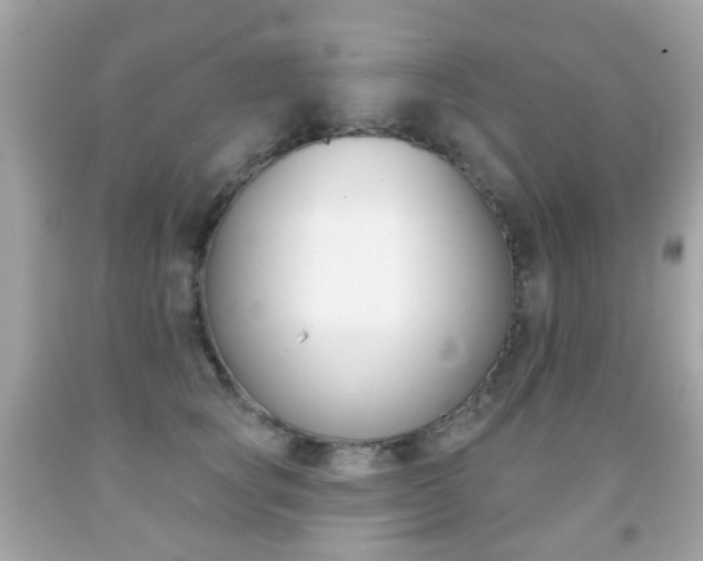 X0000091850757200709050935