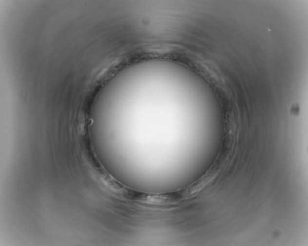 X0000091850758200709050935