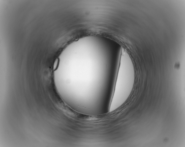 X0000091850759200709050935