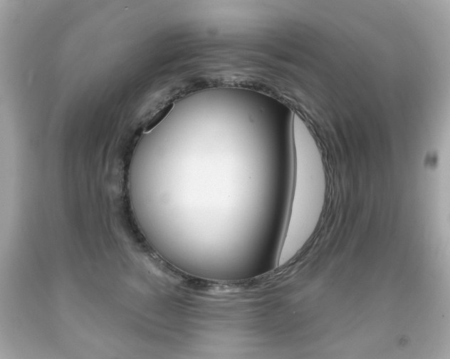 X0000091850760200709050935
