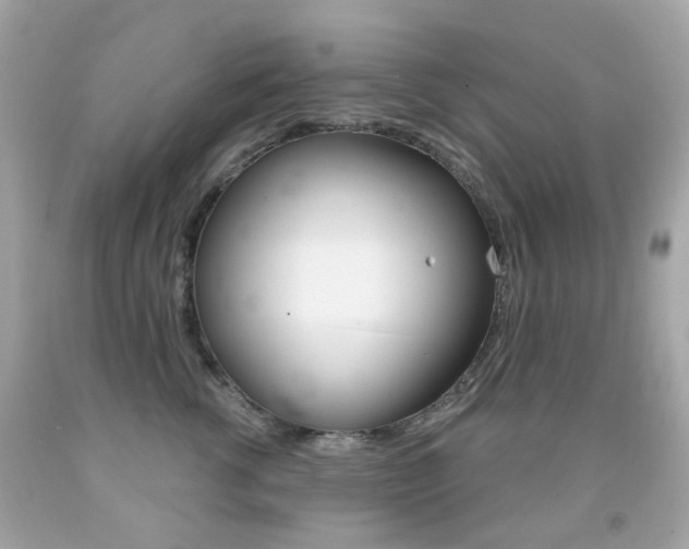 X0000091850762200709050935