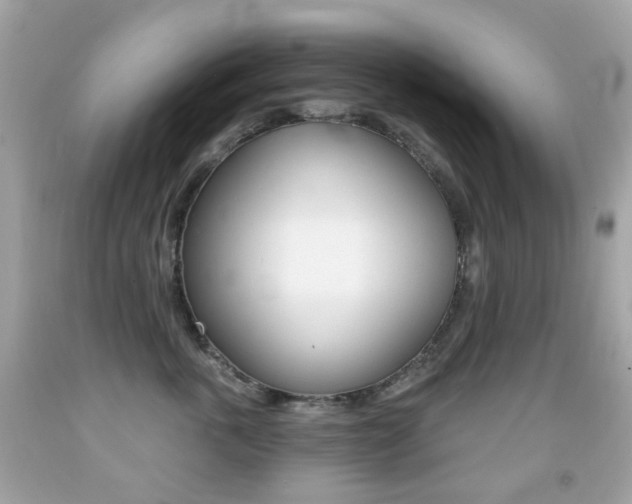 X0000091850763200709050935