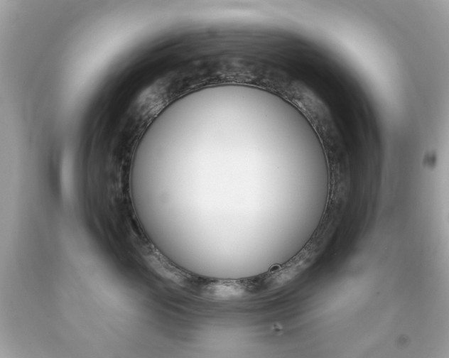 X0000091850765200709050935