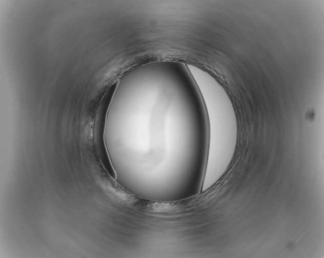X0000091850766200709050935