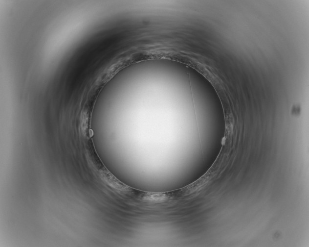 X0000091850767200709050935