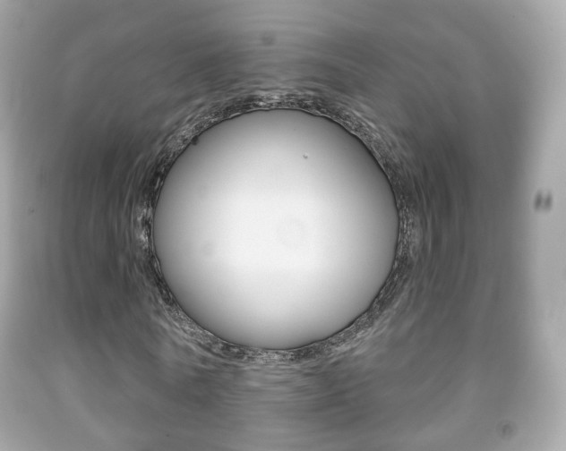 X0000091850770200709050935