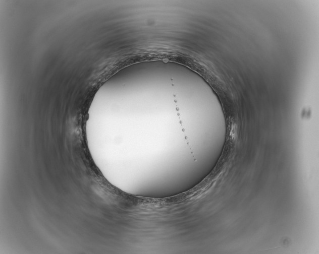 X0000091850771200709050935
