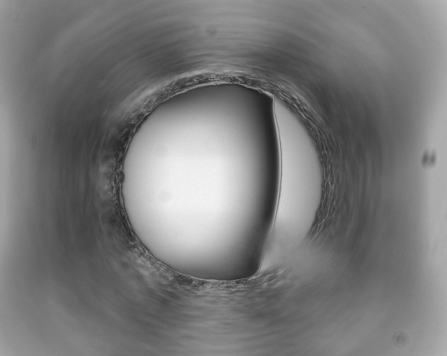 X0000091850773200709050935