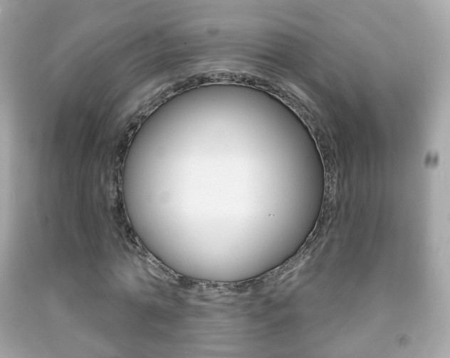 X0000091850774200709050935