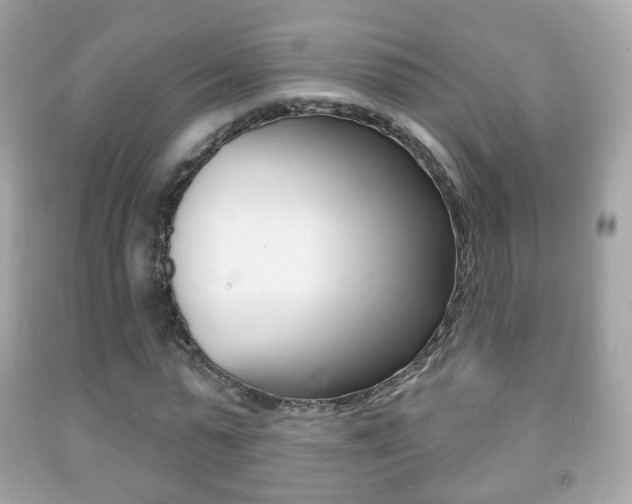 X0000091850775200709050935