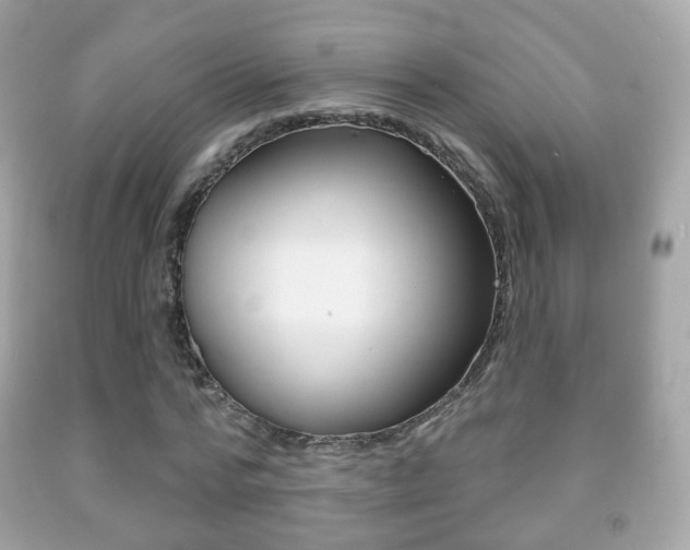 X0000091850776200709050935
