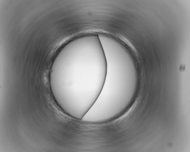 X0000091850777200709050935