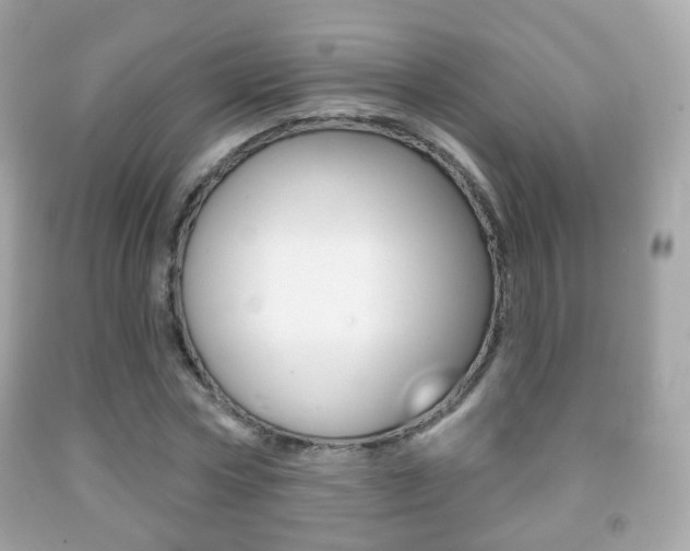 X0000091850778200709050935