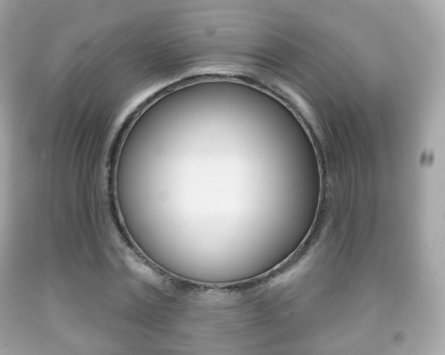 X0000091850779200709050935