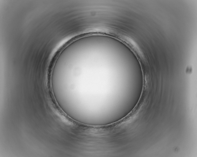 X0000091850780200709050935