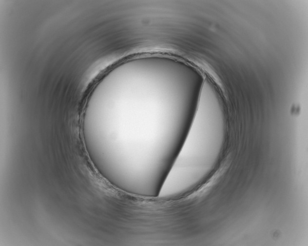 X0000091850781200709050935