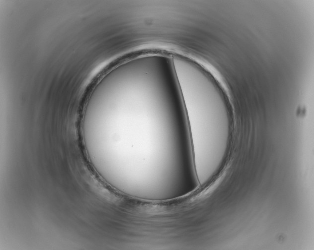 X0000091850783200709050935