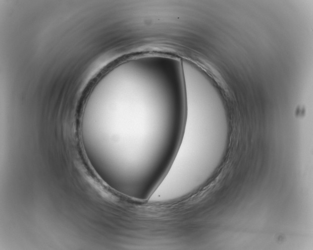 X0000091850784200709050935