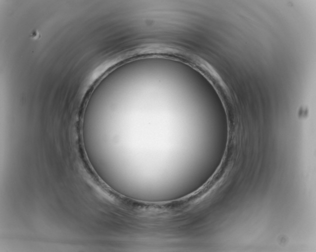 X0000091850786200709050935