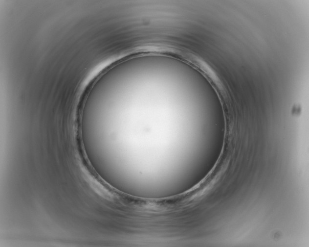 X0000091850787200709050935