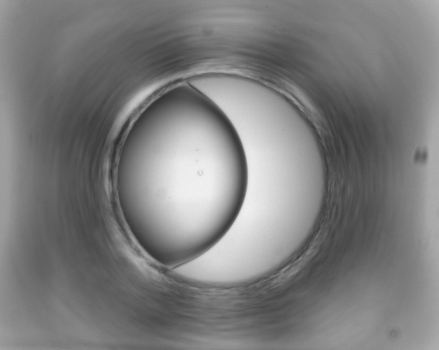 X0000091850788200709050935