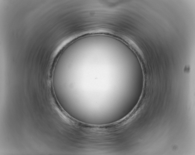X0000091850789200709050934