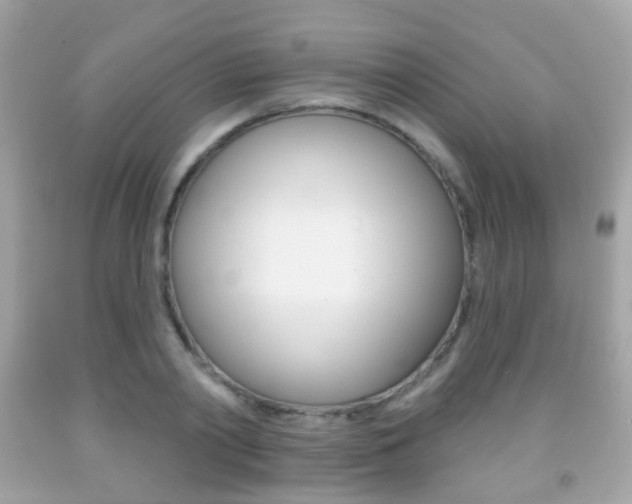X0000091850790200709050934