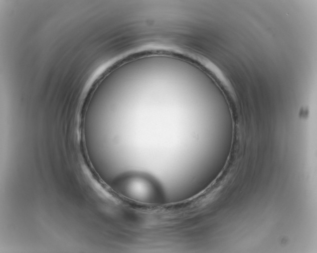 X0000091850791200709050934
