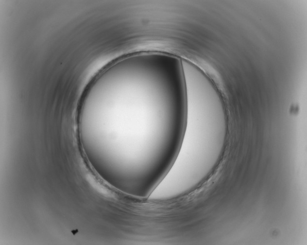 X0000091850792200709050934