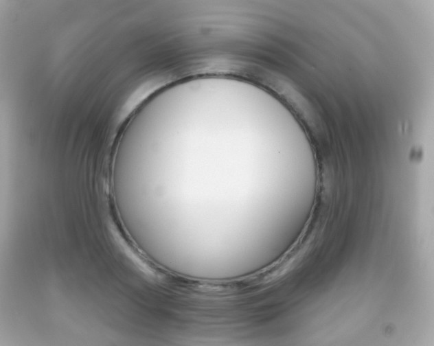 X0000091850794200709050934