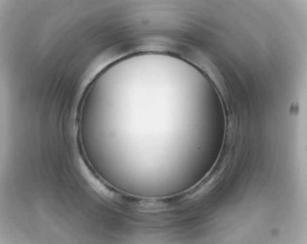X0000091850795200709050934
