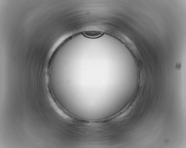 X0000091850796200709050934