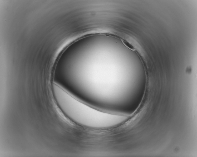 X0000091850797200709050934