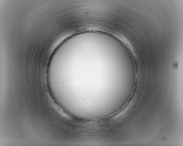 X0000091850798200709050934