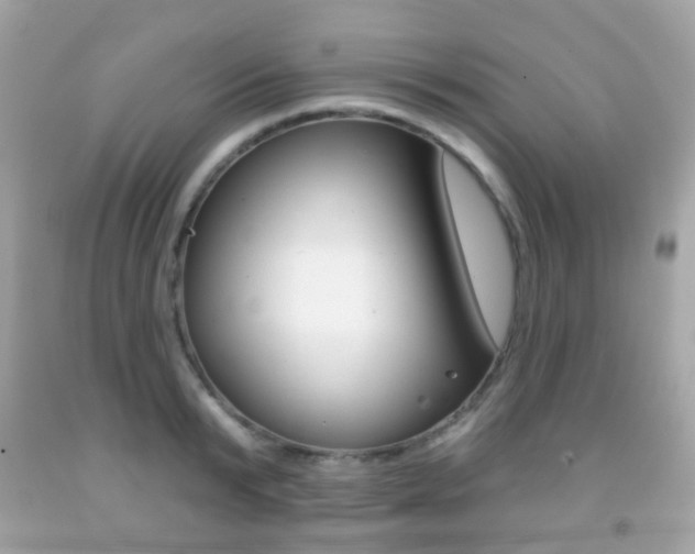 X0000091850799200709050934