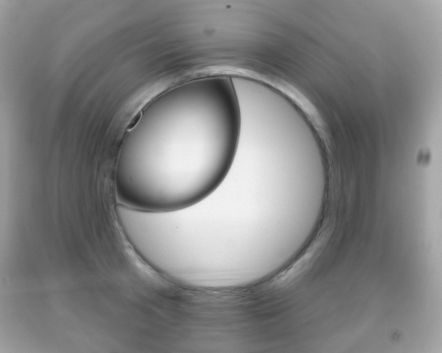 X0000091850801200709050934
