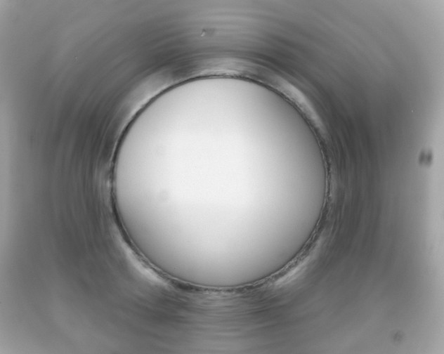 X0000091850802200709050934