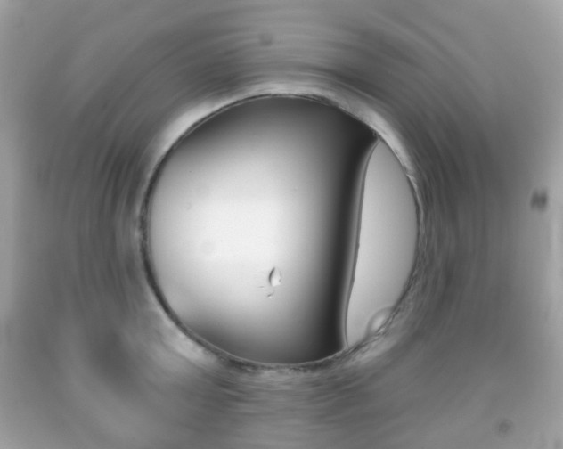X0000091850803200709050934