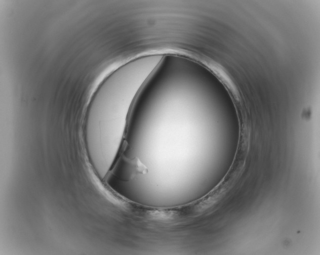 X0000091850805200709050934