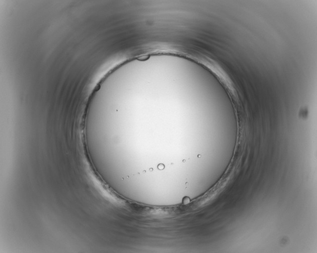 X0000091850806200709050934