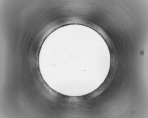 X0000091850807200709050934