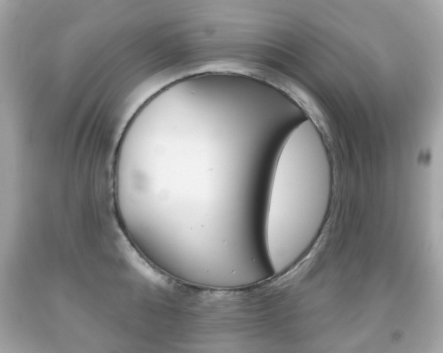 X0000091850808200709050934