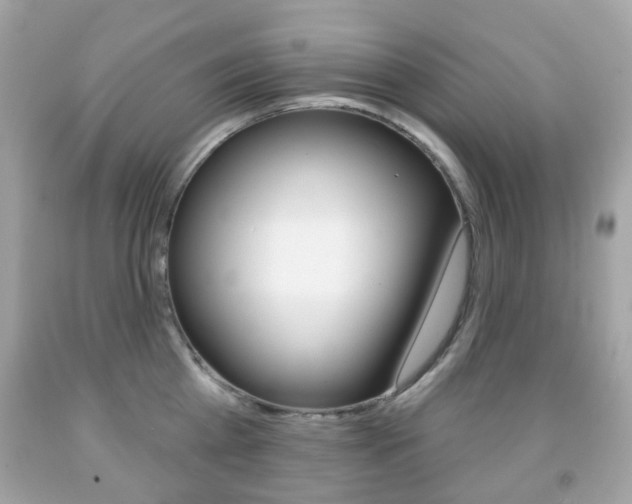 X0000091850809200709050934
