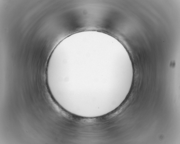 X0000091850810200709050934