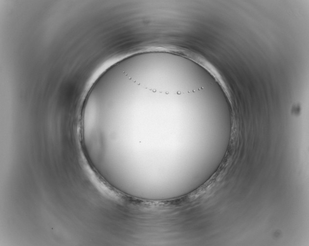 X0000091850811200709050934