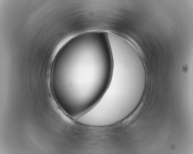 X0000091850812200709050934