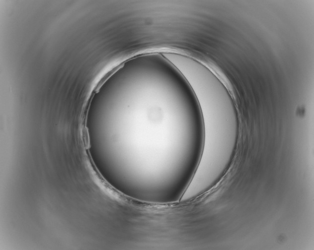 X0000091850813200709050934