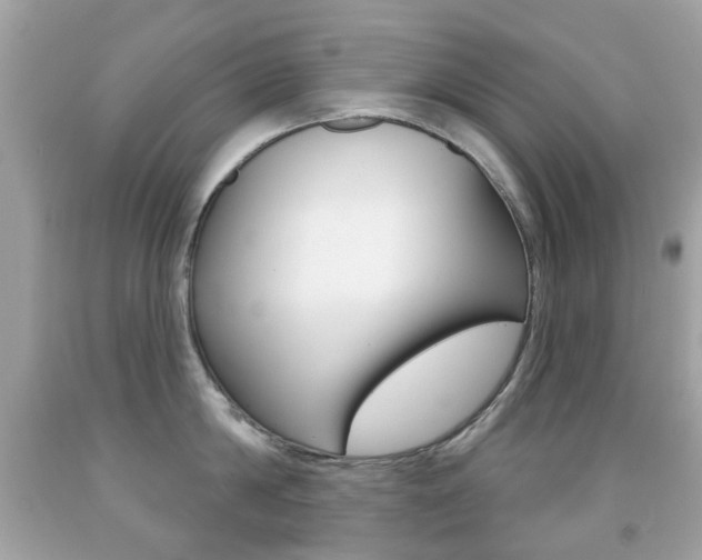 X0000091850814200709050934